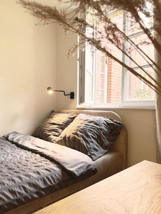 Natural Apartment In The City Center - Old Town Breslavia Esterno foto